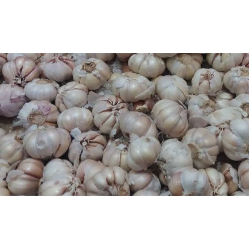 

bawang putih super 1 kg