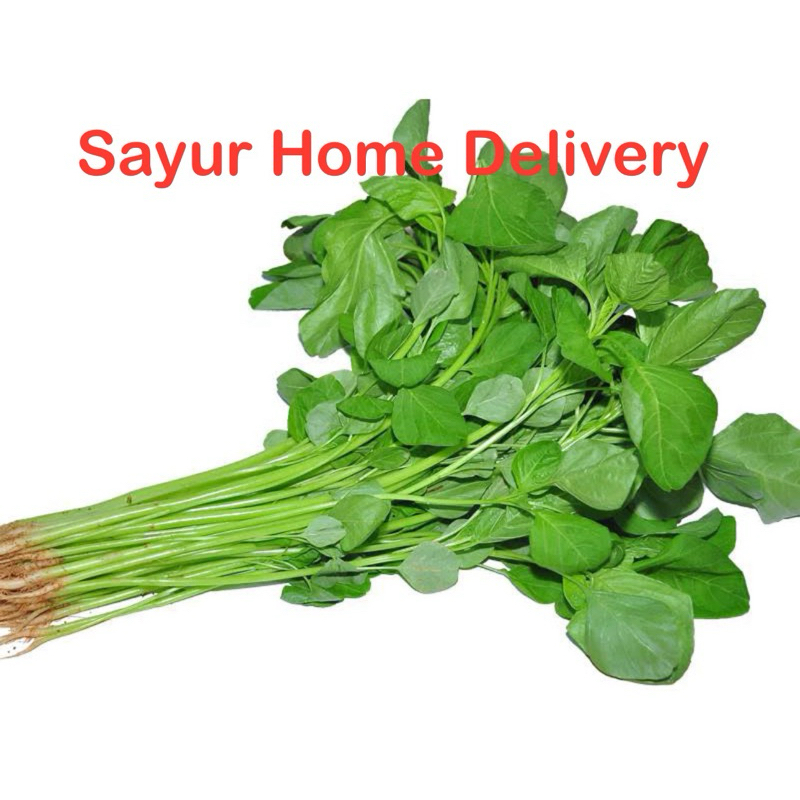 

SayurHD Sayur Bayam Fresh Segar 1 Ikat