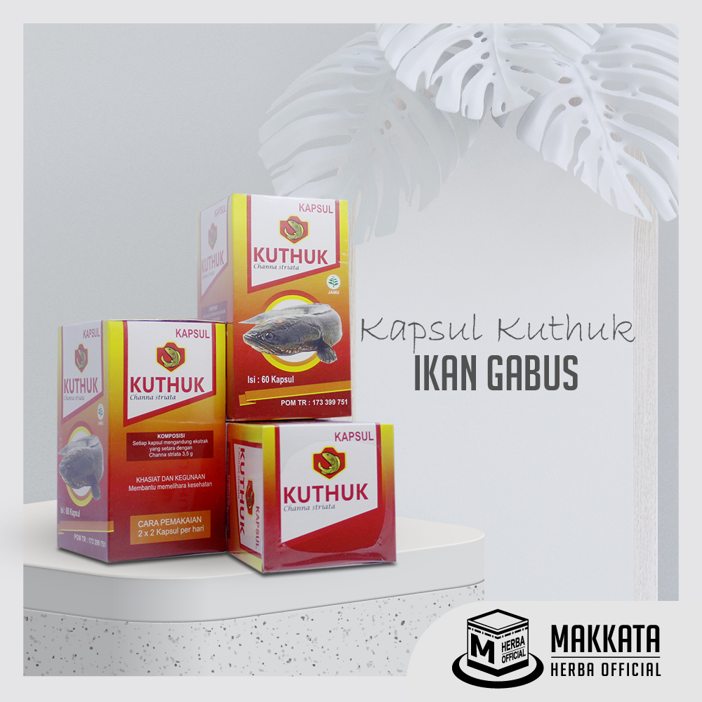 KAPSUL KUTUK Ikan Gabus Obat Luka Bakar Paling Ampuh ORI Pria Dan Wanita Original