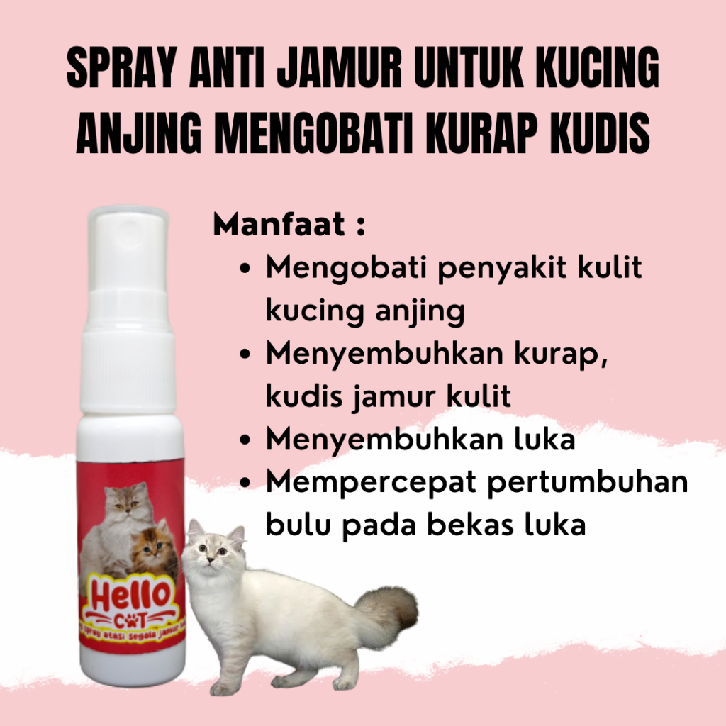 OBAT SPRAY KURAP UNTUK HEWAN PELIHARAAN MENGOBATI PENYAKIT KULIT KUCING HELLO