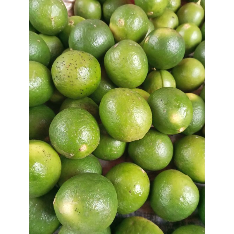 

JERUK NIPIS ASLI Fresh Dan Segar 500gram