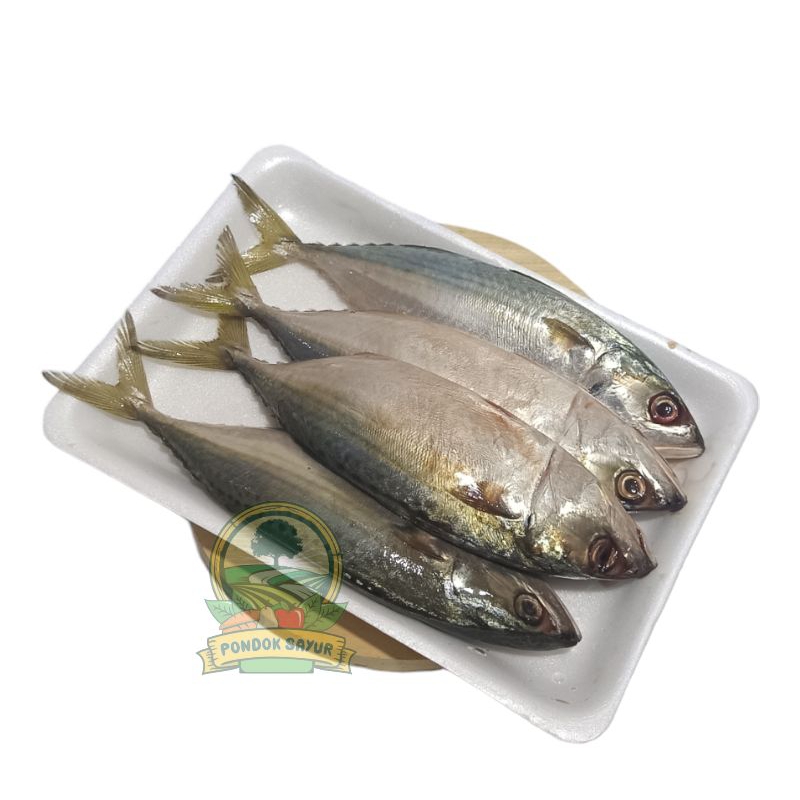 

Kembung Banjar Segar 500Gr