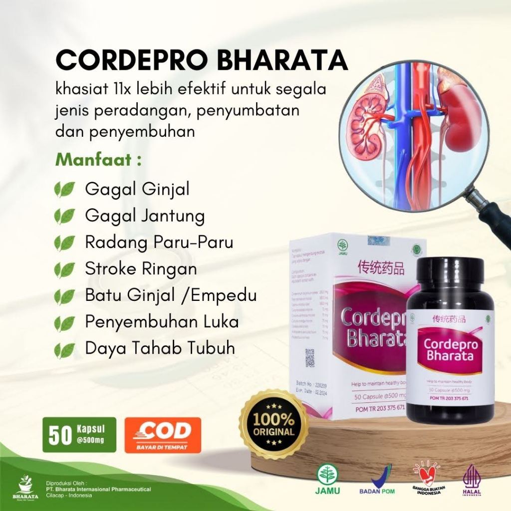 Obat Batu Ginjal Ampuh - Obat Kencing Batu - Obat Batu Empedu - Batu Ginjal - CORDEPRO BHARATA