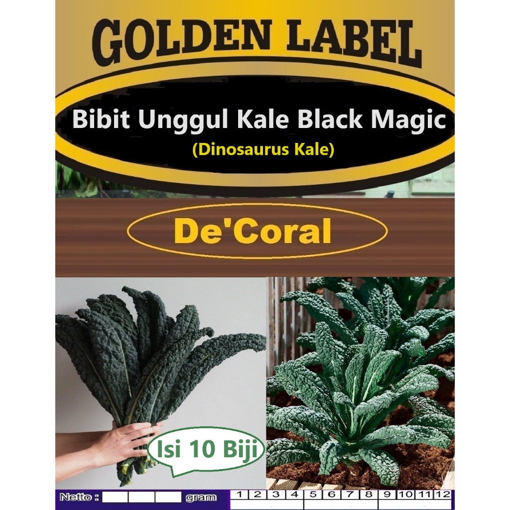 Bibit Ungggul Kale Black Magic|Biji Bibit Dinosaurus Kale|Bibit Kale