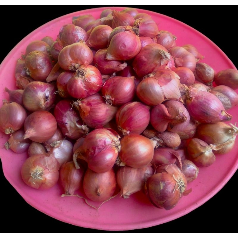 

Bawang Merah Nganjuk 250gr