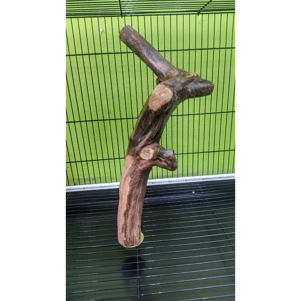 ADEWAP GLIDER Tangkringan Standing Sudut Kandang Sugar Glider