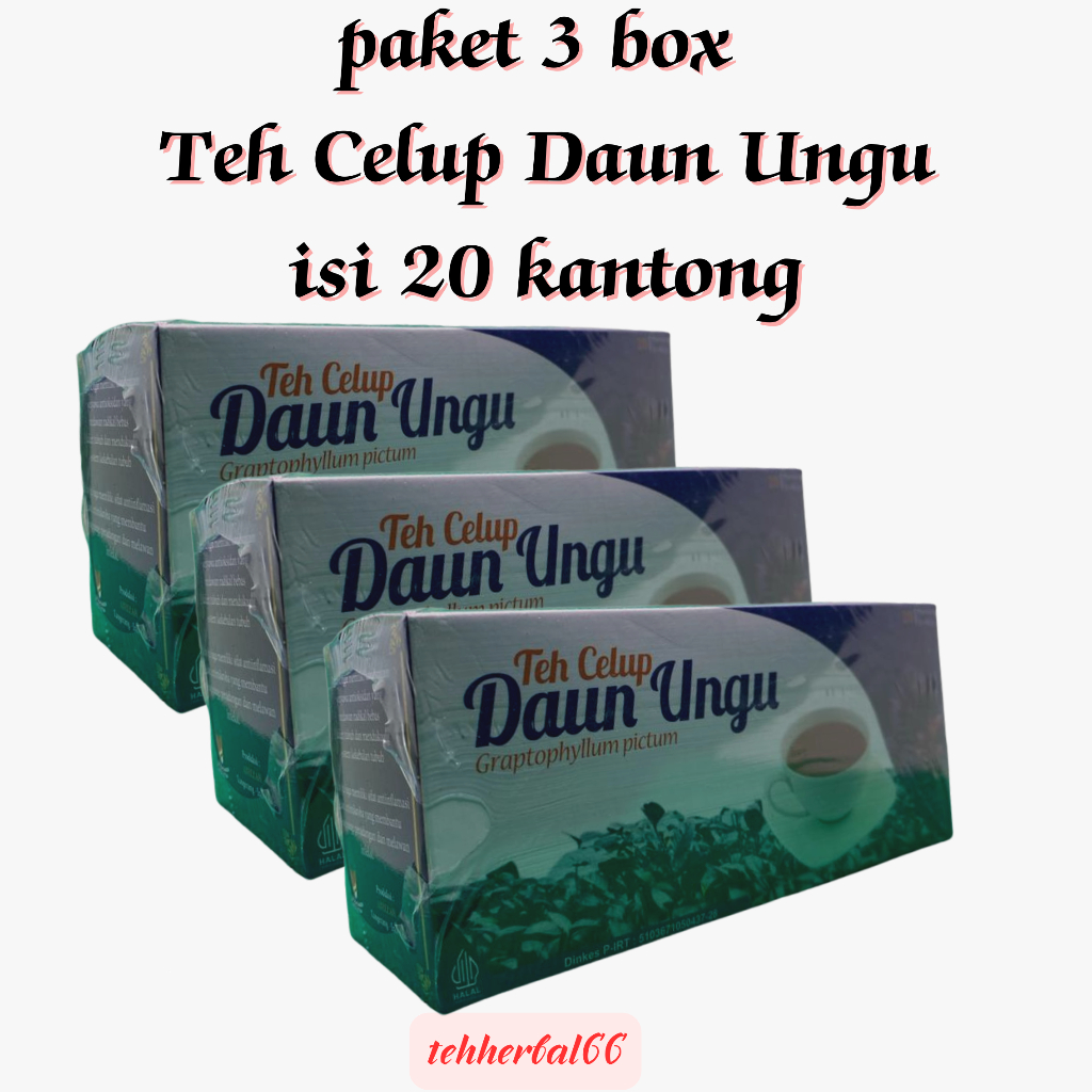 

3 BOX Teh Celup Daun Ungu 20 Kantong