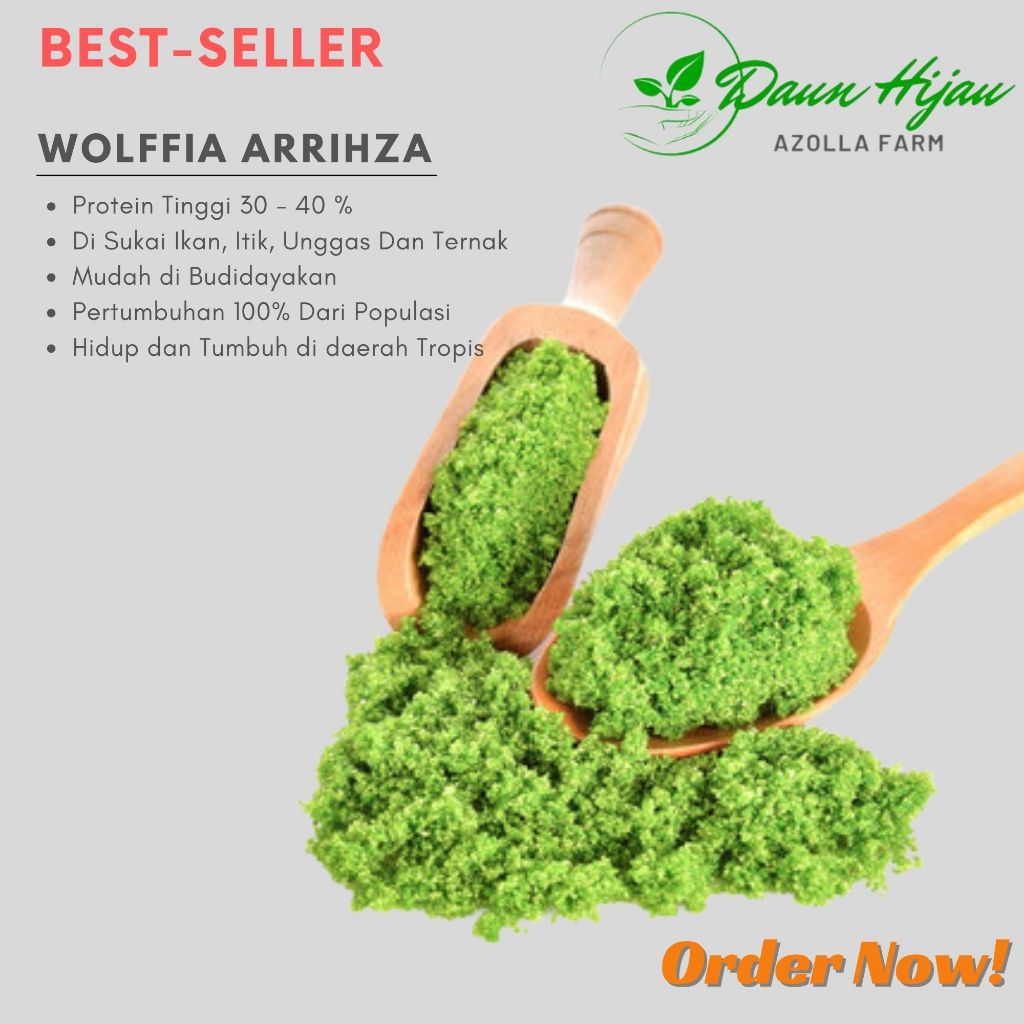 Bibit Wolffia Super 1kg (Wolffia + Media Air) Siap Budidaya Aman Pengiriman