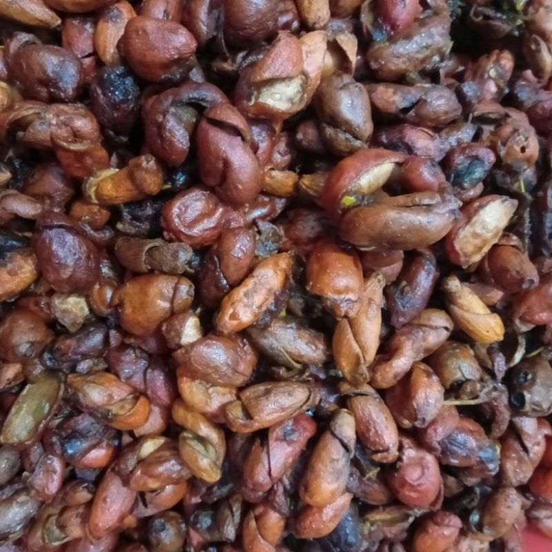 

kripik kulit mlinjo moto maling arum rasa pedas manis 100 gram