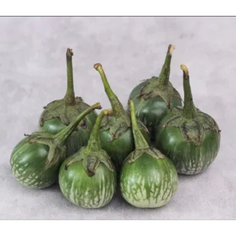 

terong lalap bulat 250 gr