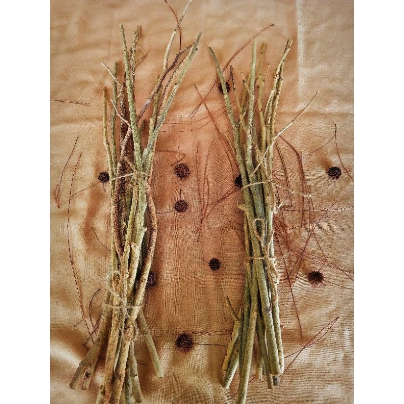 per ikat 12 pcs ranting kecil kering kayu sono untuk dekorasi rustic, kerajinan dan prakarya