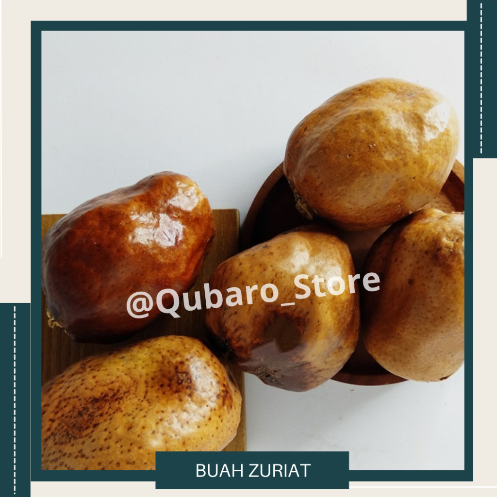 

Buah Zuriat Mesir Asli || Doum Zuriat 1 Kg Zuriat Mesir || Buah Doum Mesir || Buah Zuriat Mesir|| Zuriyat Promil