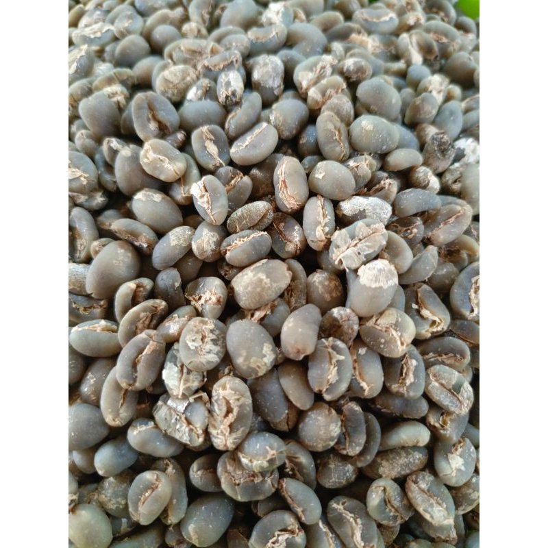

Kopi Green Bean Arabika Gayo Varian Semiwash 1kg