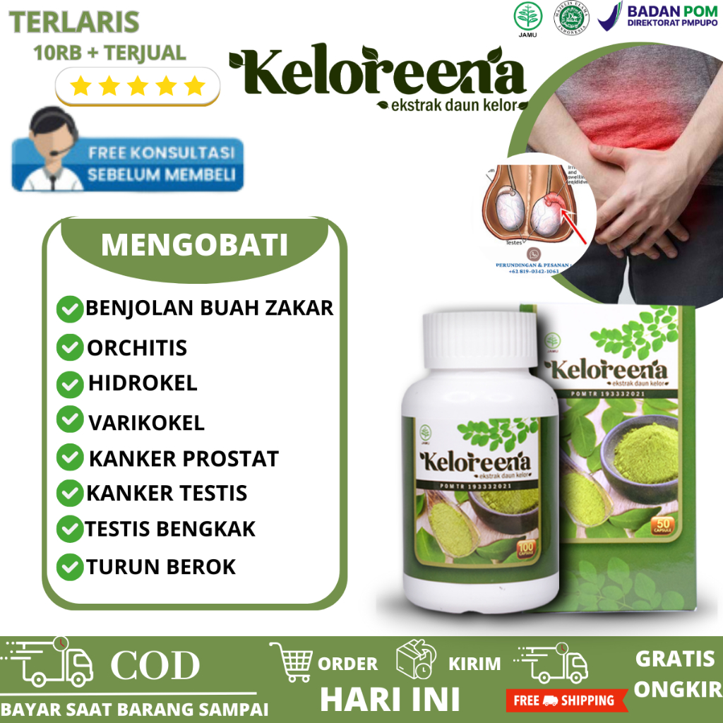 Obat Benjolan Di Buah Zakar, Obat Hidrokel Buah Zakar Bengkak, Obat Buah Zakar Bengkak Sebelah Kanan