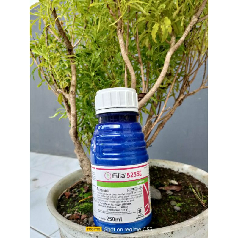 FILIA 525SE Syngenta 250ml.