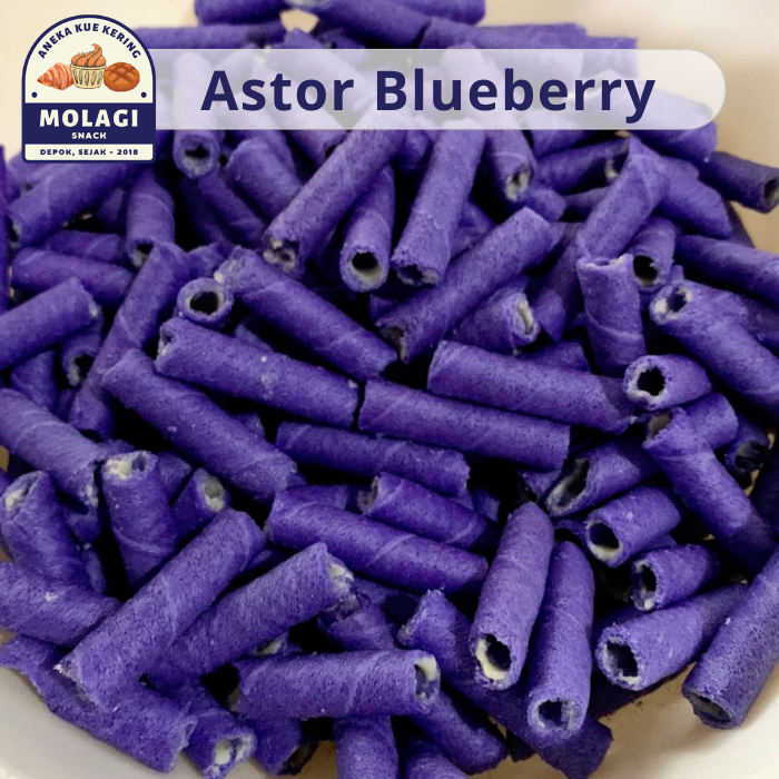 

Wafer Stik Astor Blueberry Barcelona 250 Gram - Molagi Snack