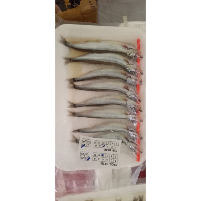 Frozen Ikan Shisamo Ikan Cipung !