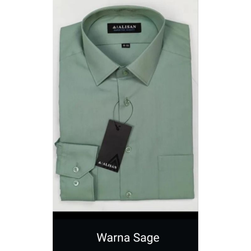 Alisan Kemeja Pria Lengan Panjang Reguler Warna Sage