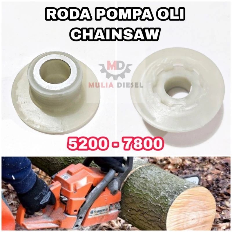 GigiPompaOliSinsoKecil