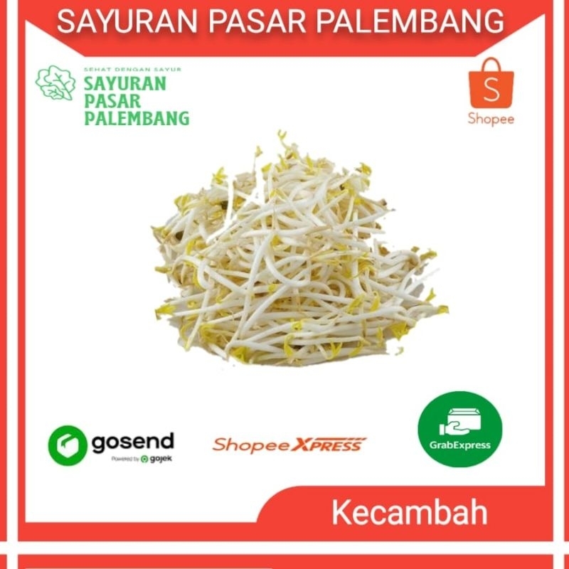 

Kecambah / Toge - Sayuran Pasar Palembang