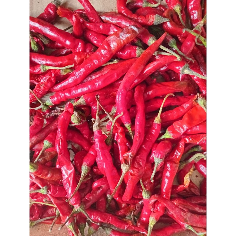 Cabai Besar Merah 1 kg