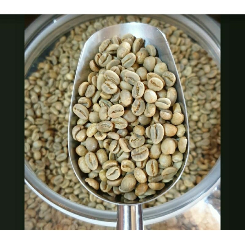 

Biji kopi natural arabika gayo / aceh 1 kg