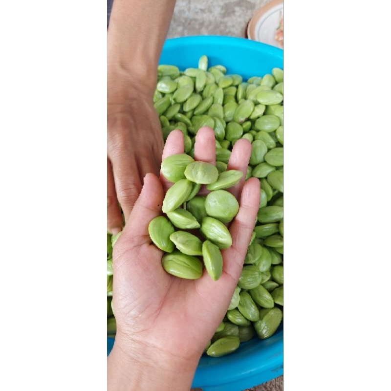 

pete atau petai kupas 100 gram harga promo