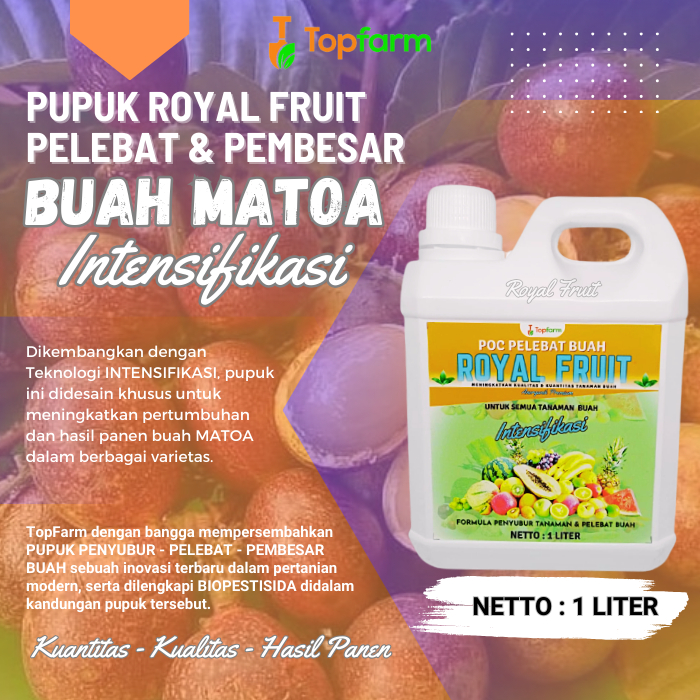 Pupuk Buah Super Lebat / Pupuk Buat Cepat Berbuah / Pupuk Pelebat Buah Matoa / Pupuk Booster Buah Ma