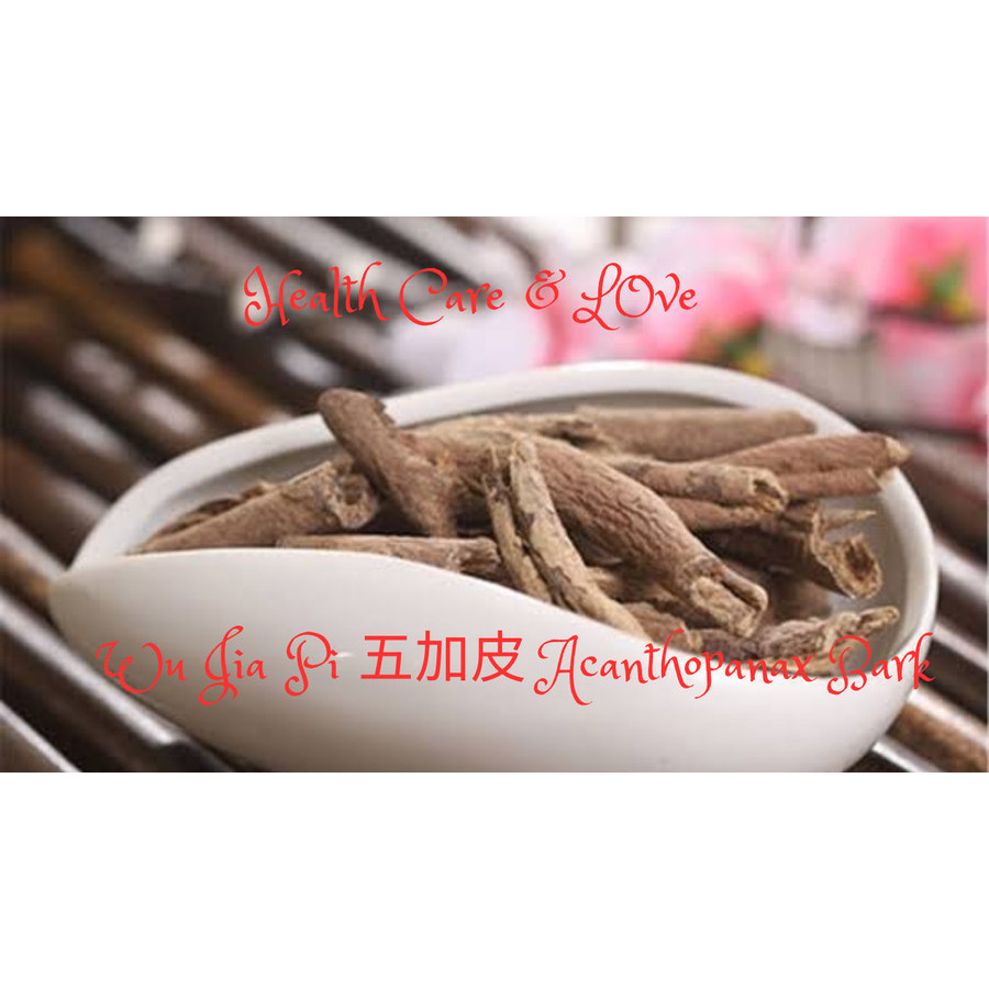 

Wu Jia Pi 五加皮 Acanthopanax Bark 50 Gr