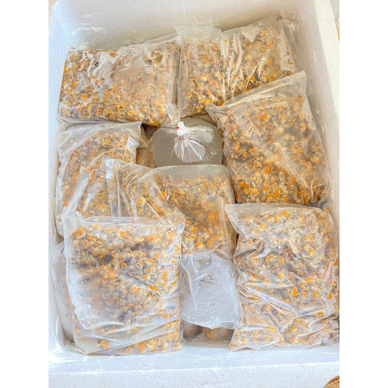 

KERANG KUPAS +- 1 Kg
