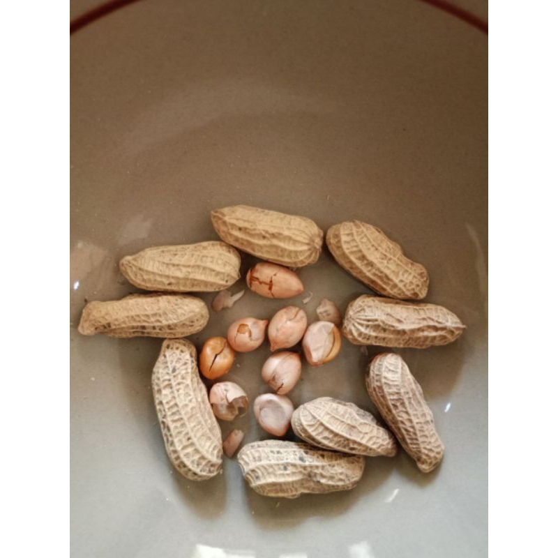 

Kacang Goreng bendo asli 5kg