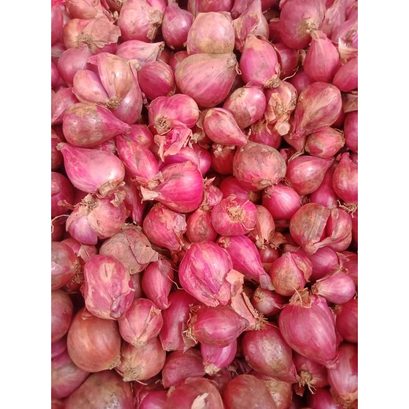 

bawang merah 500 gram / 1 kg