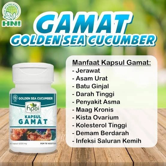 GAMAT KAPSUL HNI HPAI PEREDA NYERI SENDI