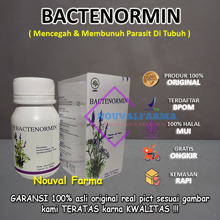 Bactenormin Asli Original BPOM Obat Penghilang Parasit Ampuh