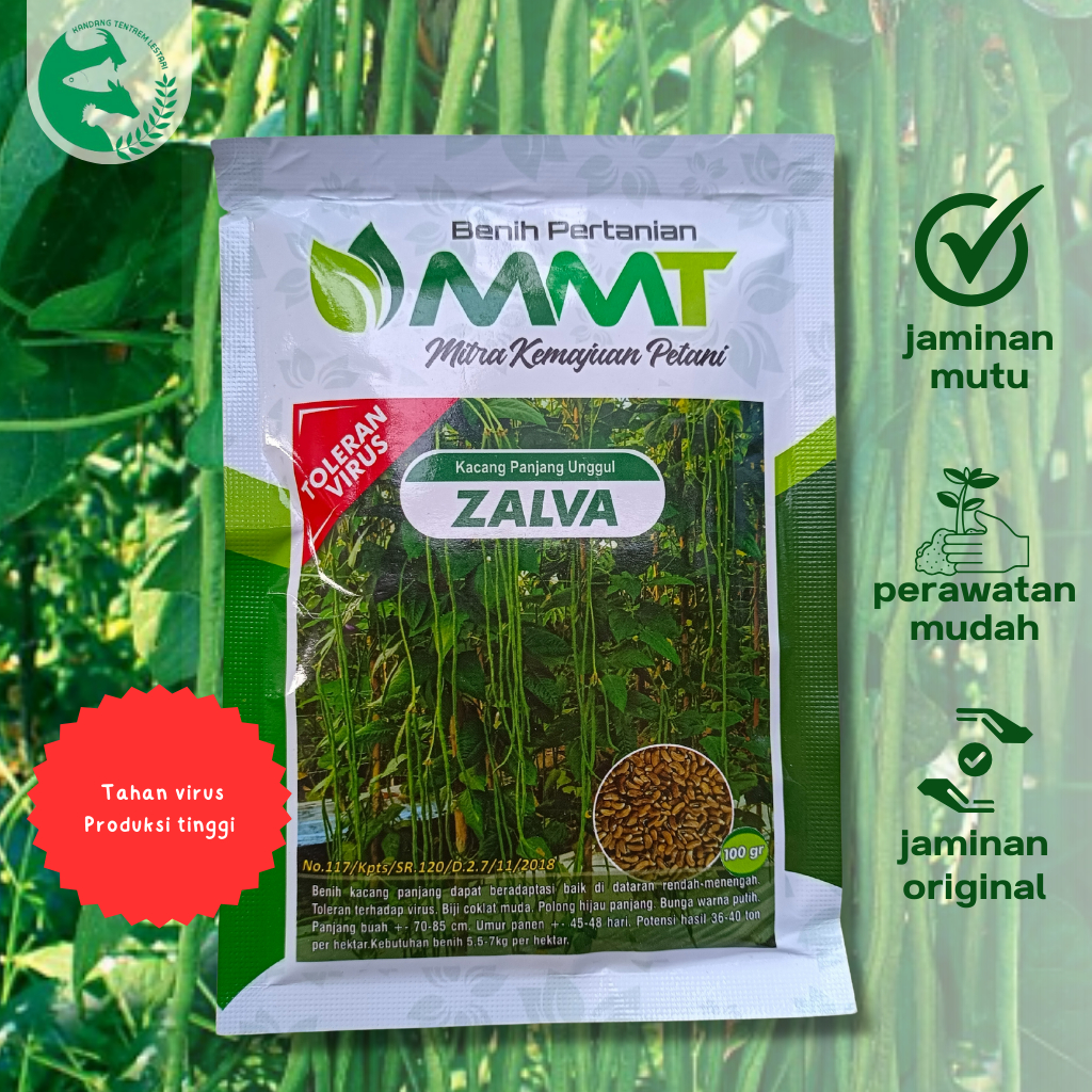 Benih Kacang Panjang Zalva 500 gr Cap MMT Unggul Produksi Tinggi