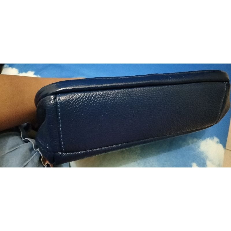 papillon preloved