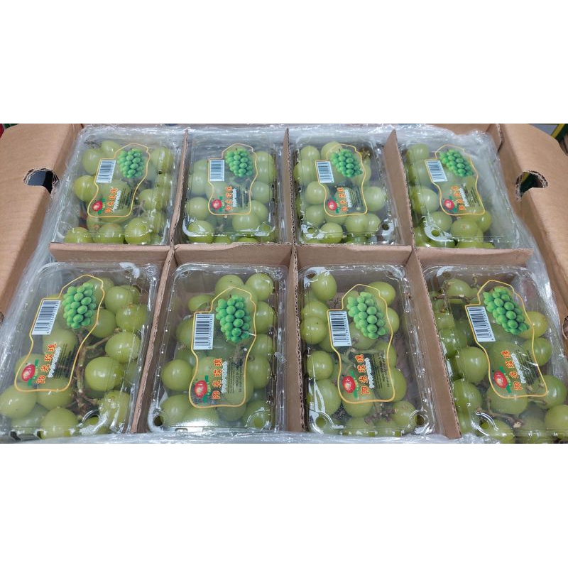 

anggur shine Muscat1kg