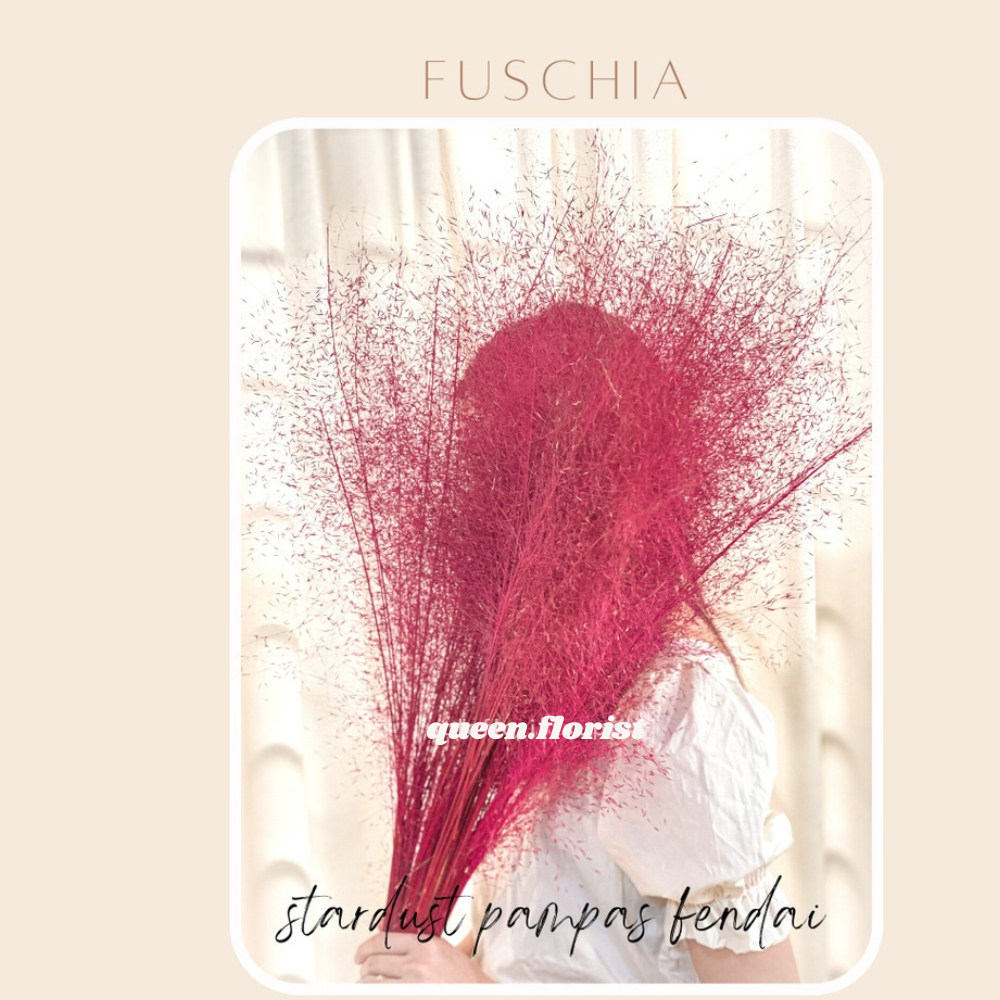 STARDUST PAMPAS FENDAI Home Decor Rayung Kering Rayung Panjang Rayung Natural Rayung Rustic Dekorasi