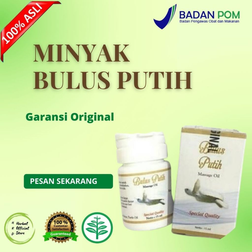 BIO HERBAL MINYAK BULUS PUTIH ORIGINAL - BULUS PUTIH