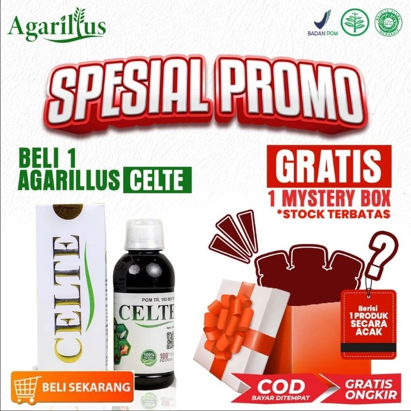 Agarillus Celte Agarillus Celte Original Solusi segala Penyakit