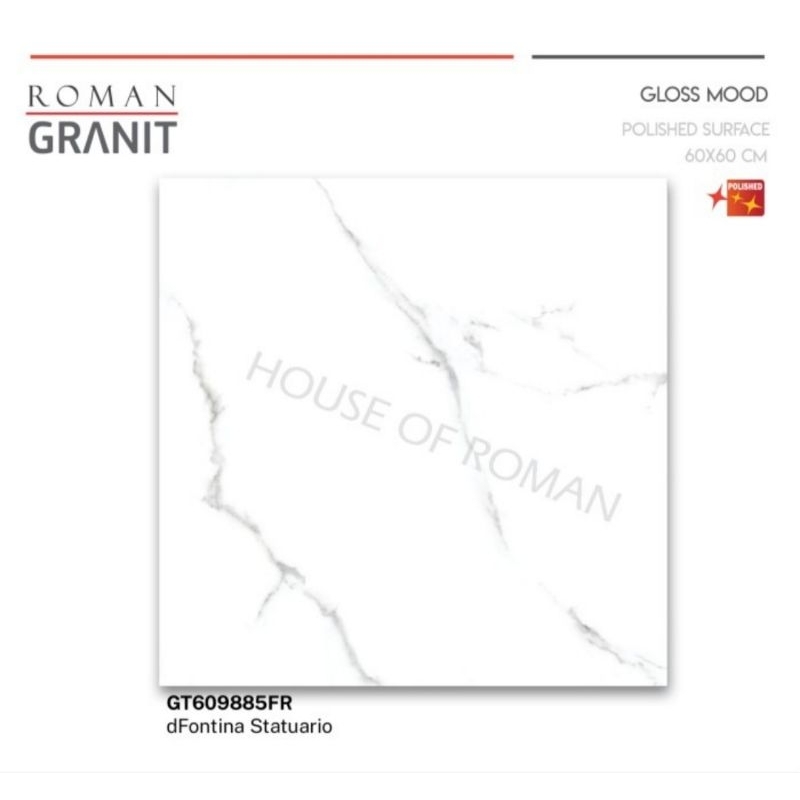 Roman Granit GT609885FR dFontina Statuario 60x60 kw1