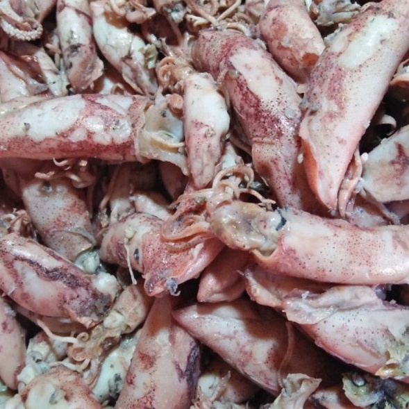 

Ikan cumi asin 250gram khusus gojek/grab