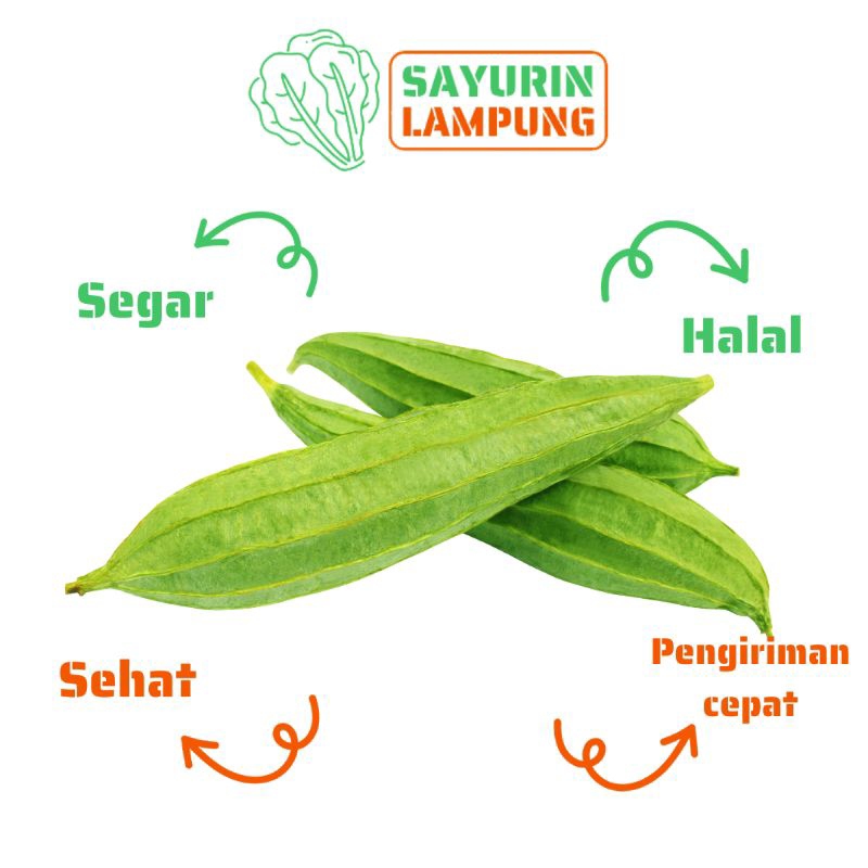 

oyong hijau oyong gambas sayur oyong - SAYURin LAMPUNG