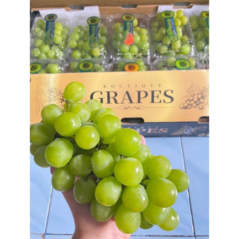 

Anggur Hijau Shine Muscat Fresh Import per pack 500 gram buah anggur MUSCAT fresh 500 gram