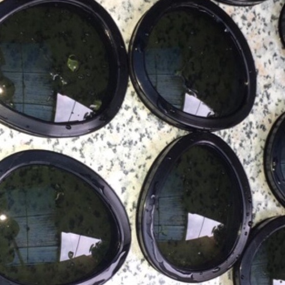 ✵Promo..✵ Ready Stock Goggle Lens Replacement Goggle Jacket (not cp company)