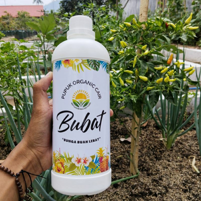 Pupuk Bunga dan Buah "BUBAT" (Bunga dan Buah Lebat)