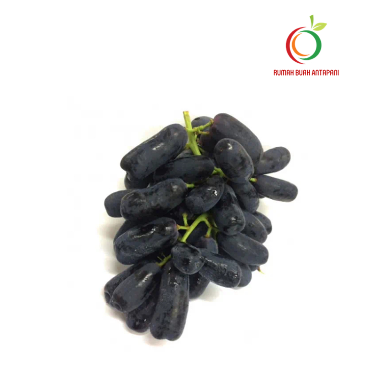 

Buah Anggur Black Autumn Jari Moondrop 250 gram
