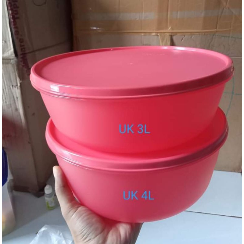 guava bowl collection Tupperware(2)