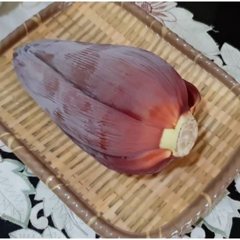 

Jantung Pisang Kepok Segar Per 1 Pcs Original