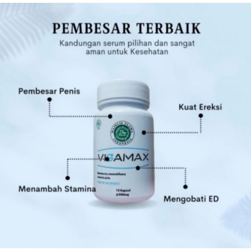 (Privasi Aman) Vigamax Asli Vigamax Original Obat Herbal Pria Resmi BPOM